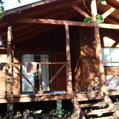 Cabana Bosque Viejo Villa Las Trancas Exteriör bild