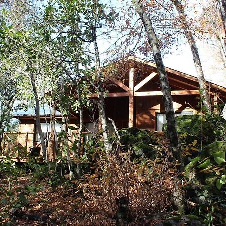 Cabana Bosque Viejo Villa Las Trancas Exteriör bild