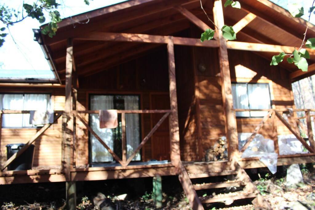 Cabana Bosque Viejo Villa Las Trancas Exteriör bild