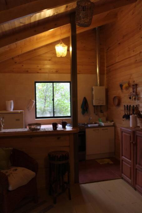 Cabana Bosque Viejo Villa Las Trancas Exteriör bild