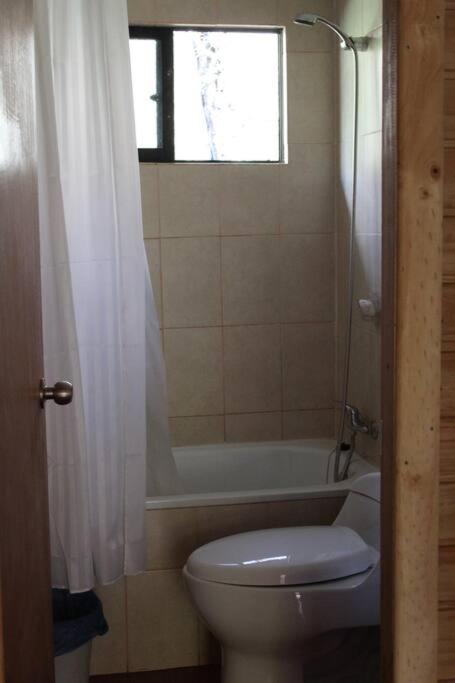 Cabana Bosque Viejo Villa Las Trancas Exteriör bild