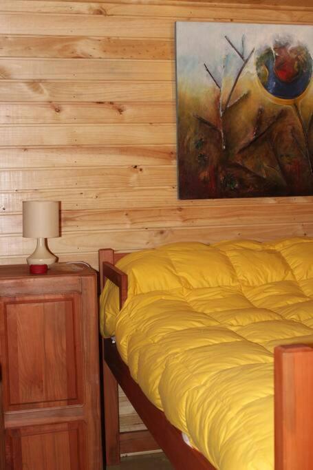 Cabana Bosque Viejo Villa Las Trancas Exteriör bild