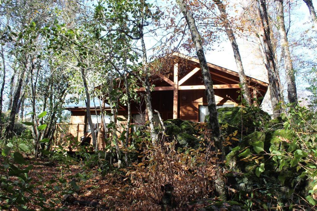 Cabana Bosque Viejo Villa Las Trancas Exteriör bild