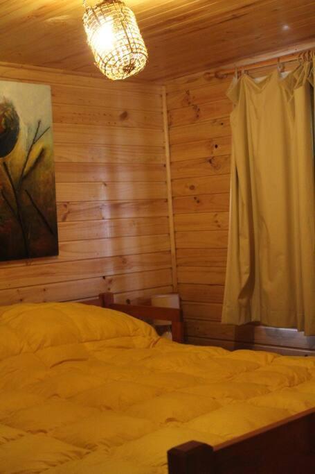Cabana Bosque Viejo Villa Las Trancas Exteriör bild